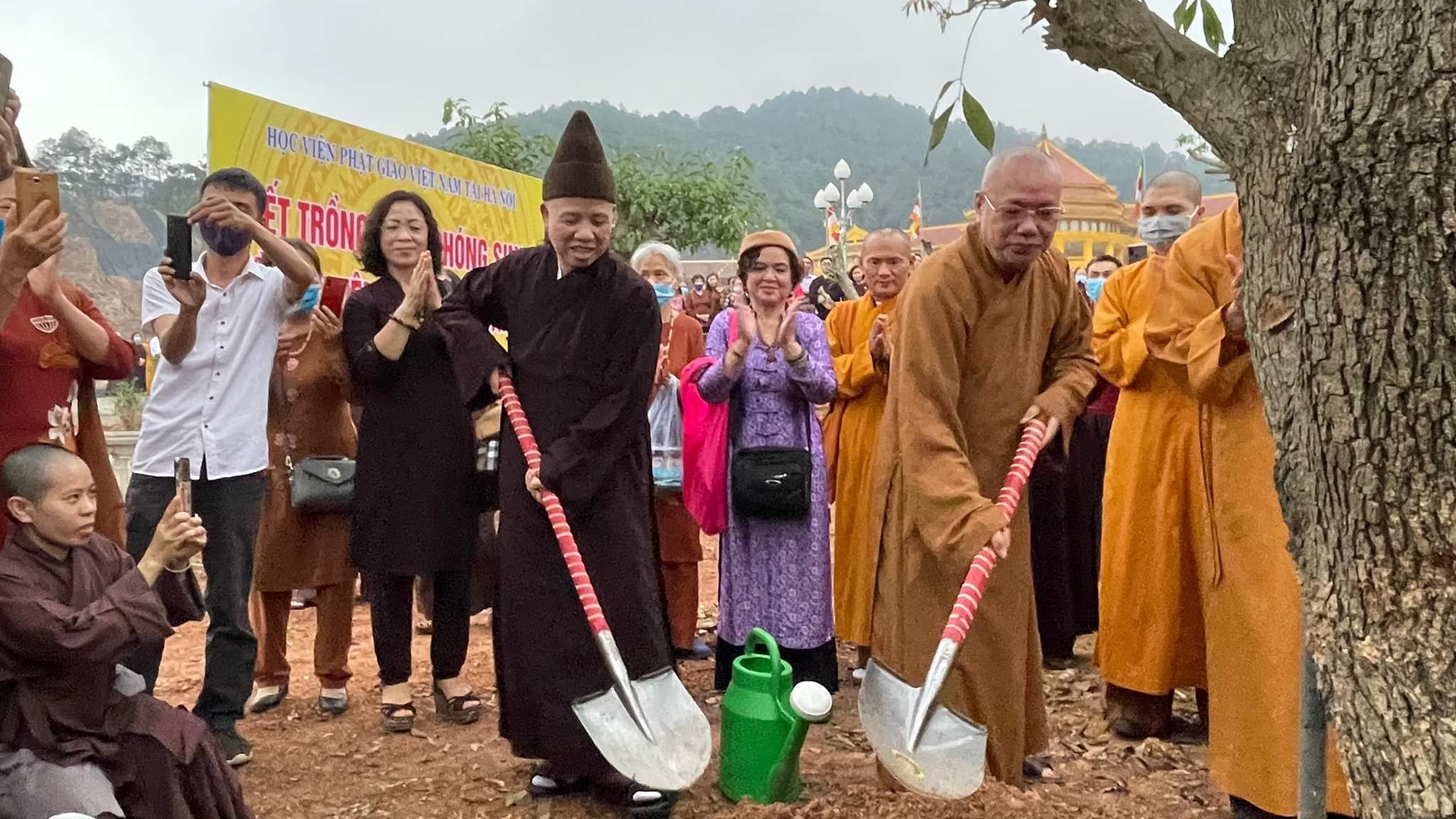 10 ngàn cây xanh được trồng tại Học viện Phật giáo VN tại Hà Nội