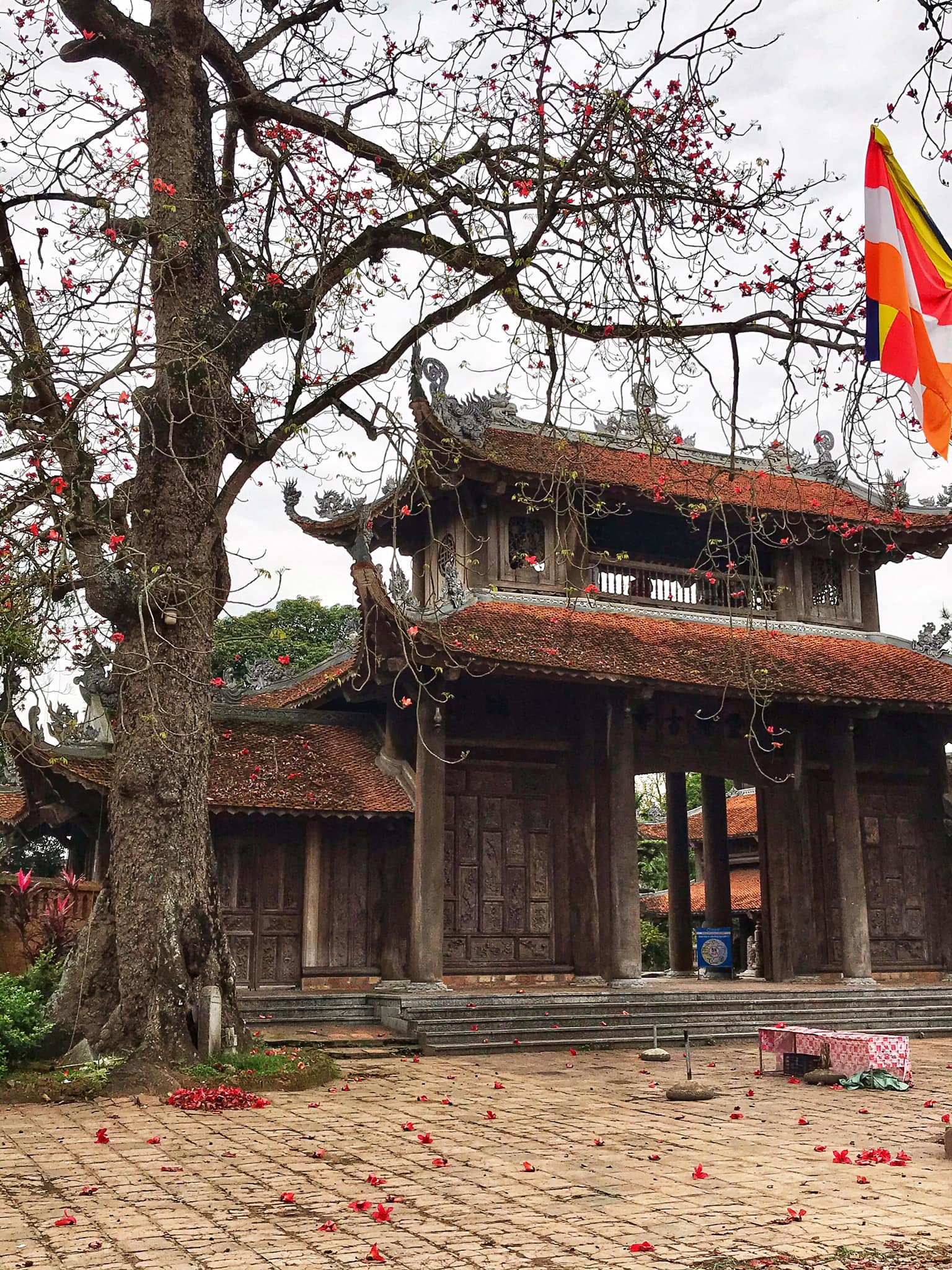 Chùa Nôm – Ngôi chùa cổ nổi tiếng đất Hưng Yên